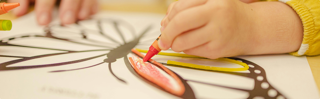 Toddlers (2–3 Years Old)